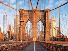 new york ponts