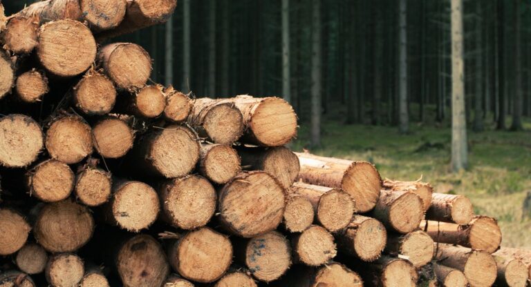 buches de bois densifie