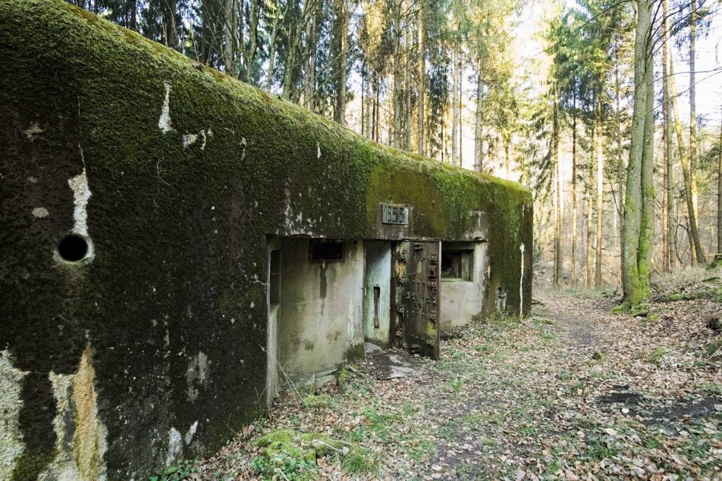 Forêts vosgiennes : visiter vestige 1re guerre mondiale